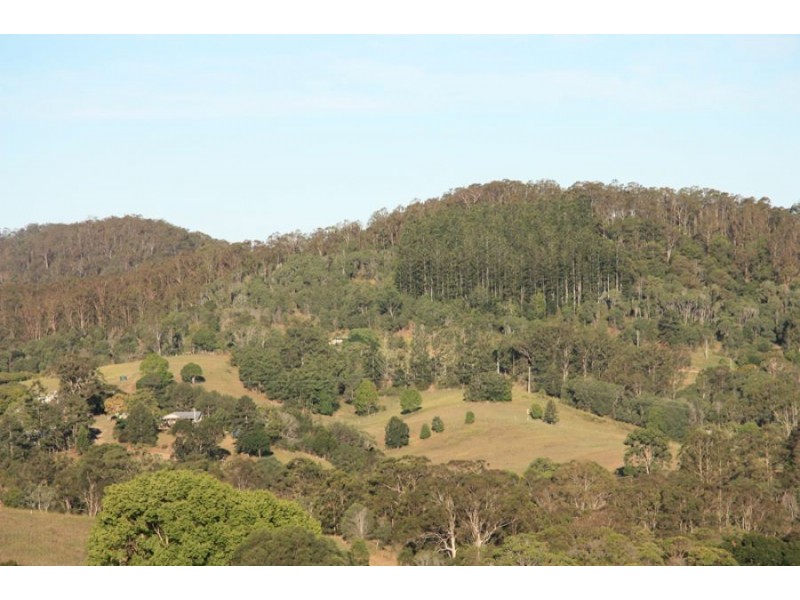 Canina QLD 4570