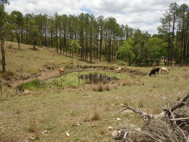 Lot 3 Kiaka Road, Lagoon Pocket QLD 4570