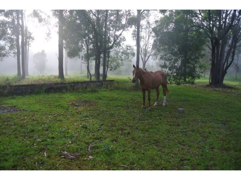 Wolvi QLD 4570