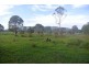 Wolvi QLD 4570