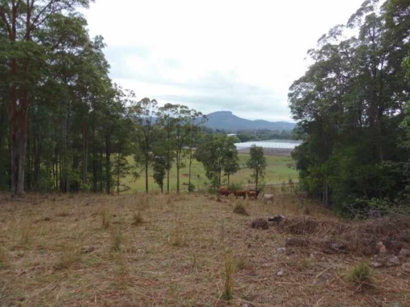 57-115 Gobberts Road, Yandina QLD 4561