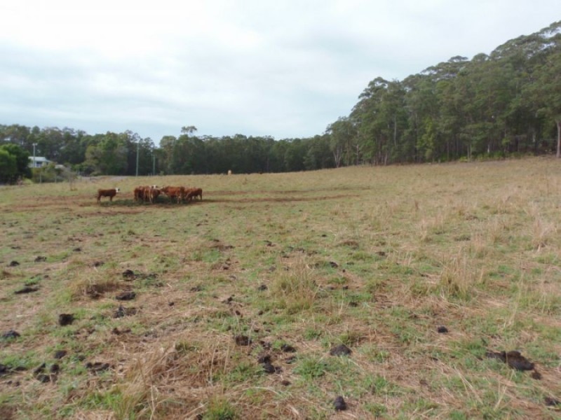 57-115 Gobberts Road, Yandina QLD 4561