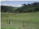 Glastonbury QLD 4570