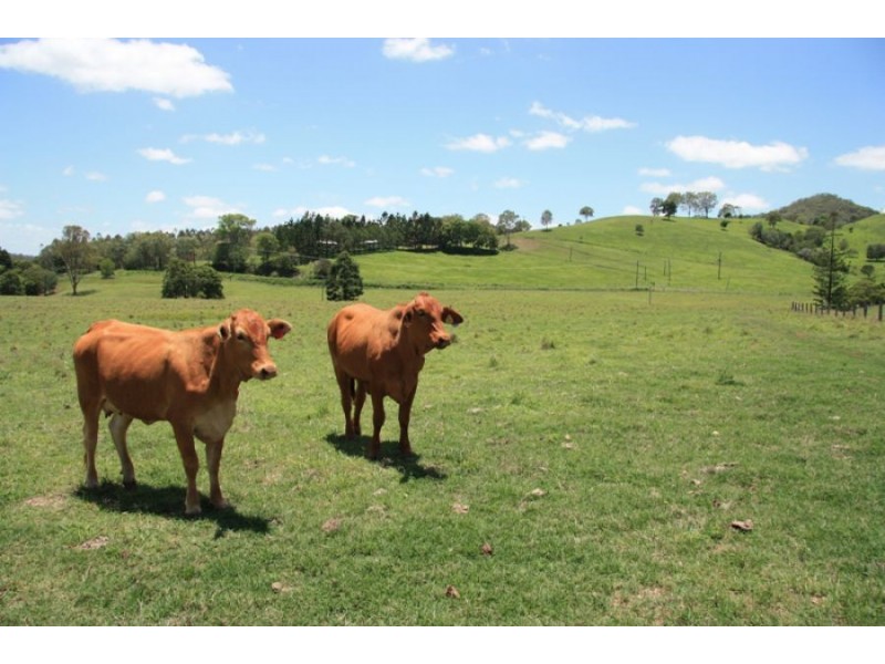 Glastonbury QLD 4570