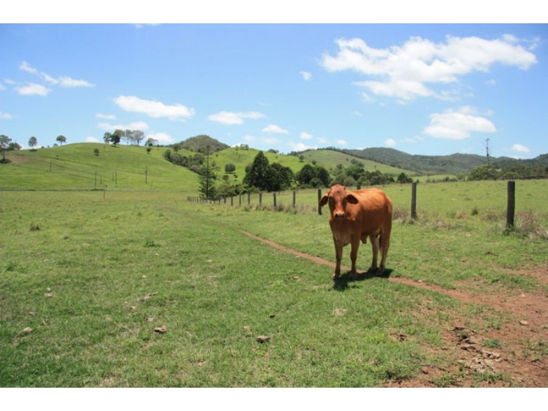 Glastonbury QLD 4570