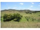 Glastonbury QLD 4570