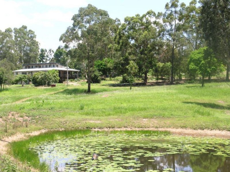 113 Green Trees Road, Pie Creek QLD 4570