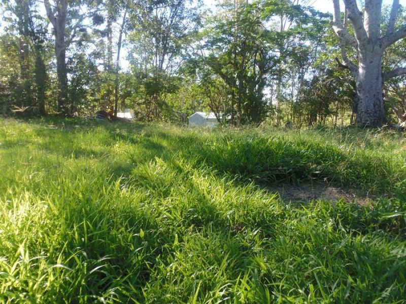 17 Bowman Street, Kin Kin QLD 4571