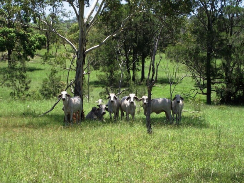 Lot 2 Rossmore Road, Kilkivan QLD 4600