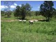 Lot 2 Rossmore Road, Kilkivan QLD 4600