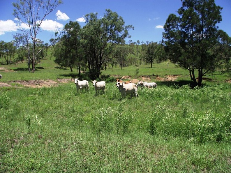 Lot 2 Rossmore Road, Kilkivan QLD 4600