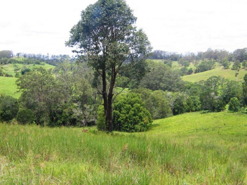 Lot 1 Hood Road, Veteran QLD 4570