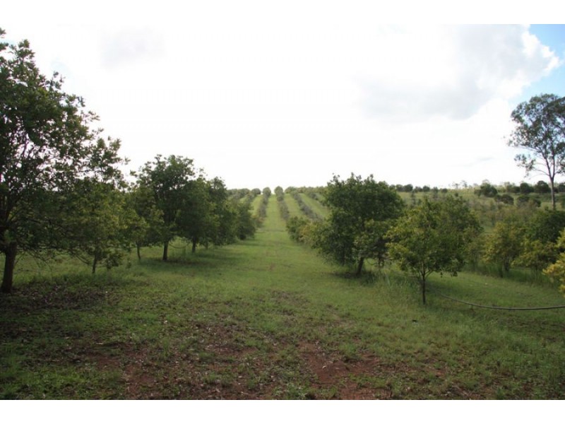Owanyilla QLD 4650