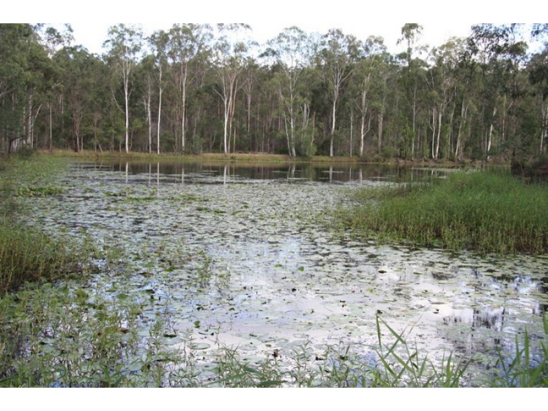Owanyilla QLD 4650