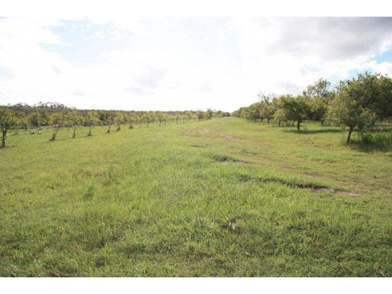 Owanyilla QLD 4650