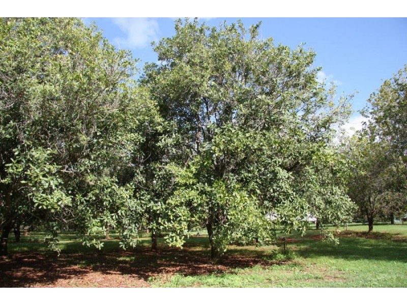 Owanyilla QLD 4650