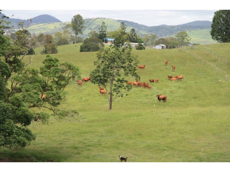 Kybong QLD 4570