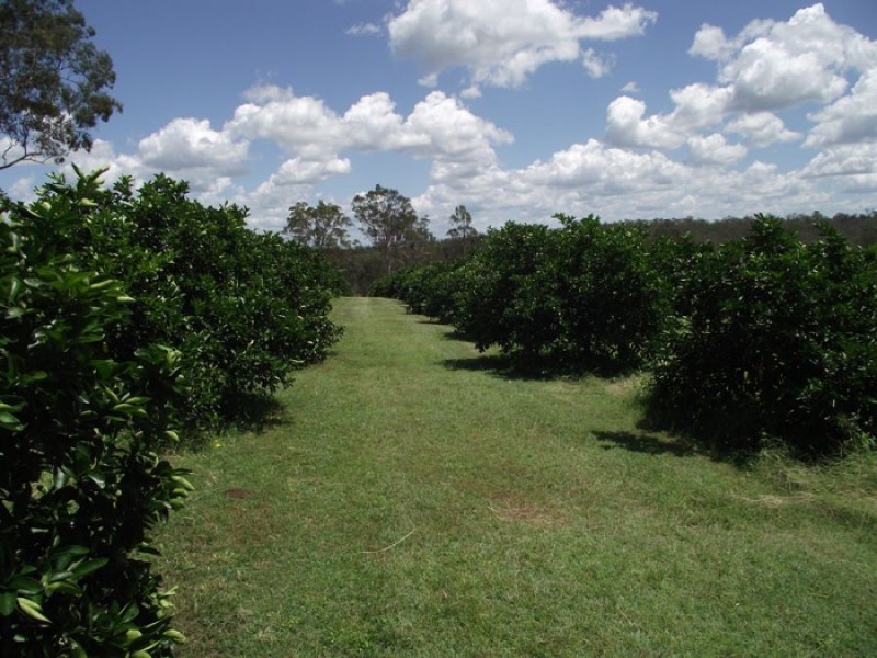 99 Cauleys Road, Paterson QLD 4570