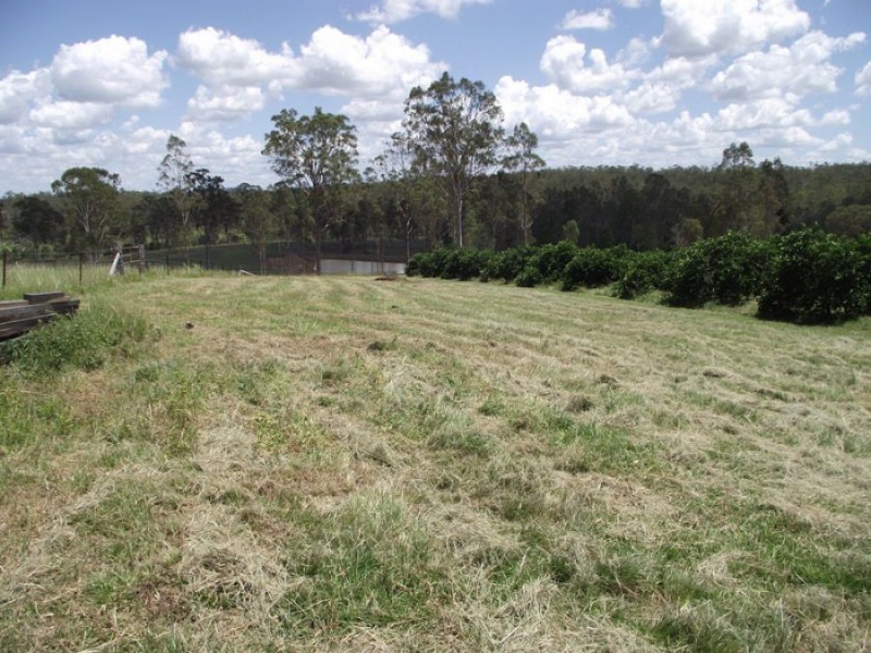 99 Cauleys Road, Paterson QLD 4570