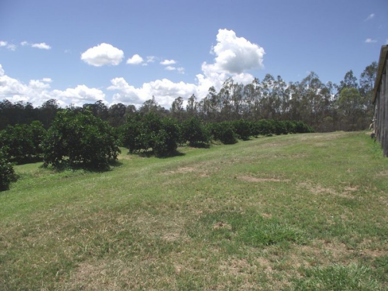 99 Cauleys Road, Paterson QLD 4570