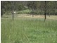 99 Cauleys Road, Paterson QLD 4570