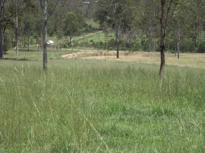 99 Cauleys Road, Paterson QLD 4570