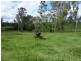 Lot 3/345 Mooloo Road, Mooloo QLD 4570