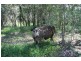 Curra QLD 4570