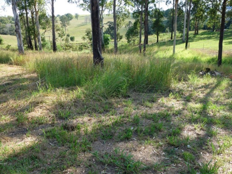 7 Muster Court, Amamoor QLD 4570