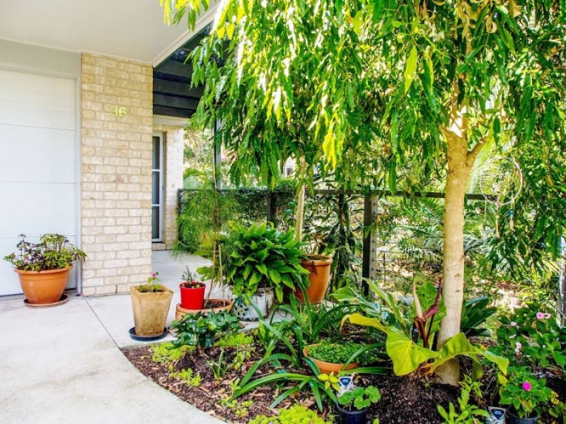 Unit 36/50 Aspland Street, Nambour QLD 4560
