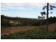 Bauple QLD 4650