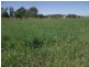 Goomeri QLD 4601