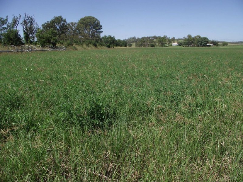 Goomeri QLD 4601