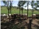 Goomeri QLD 4601