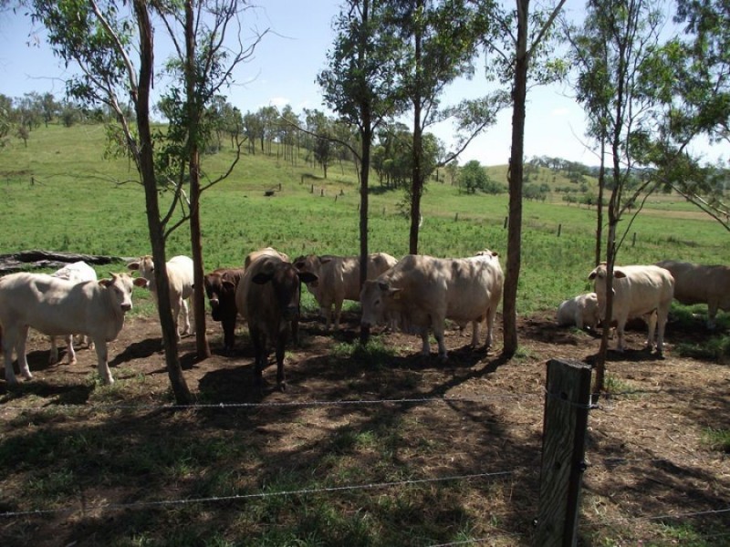 Goomeri QLD 4601