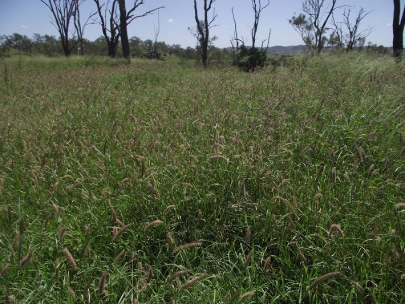 Goomeri QLD 4601