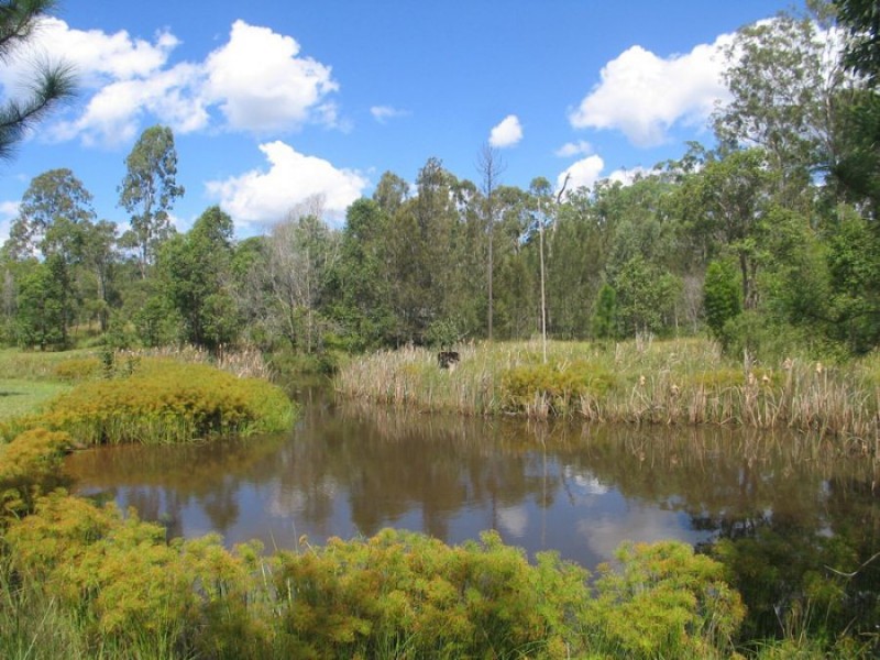 146 Arborcrescent Road, Glenwood QLD 4570