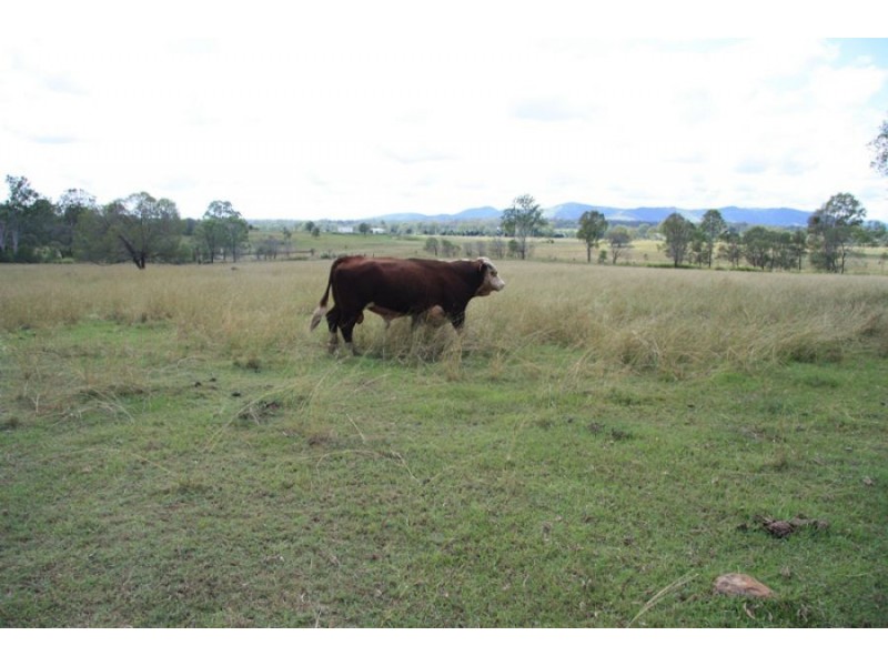 Miva QLD 4570