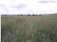 Boonara QLD 4601