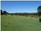 34 Grecian Bends Road, Greens Creek QLD 4570