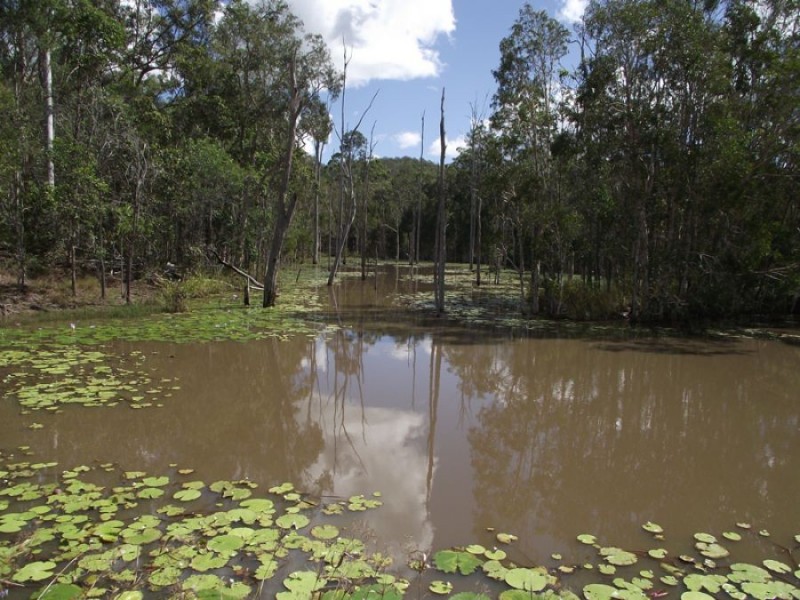 Wolvi QLD 4570