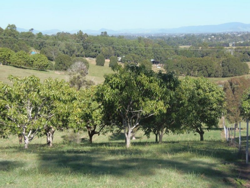 115 Grecian Bends Road, Greens Creek QLD 4570