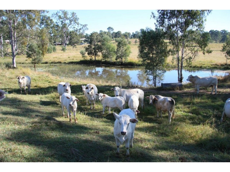 Southside QLD 4570