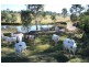 Southside QLD 4570