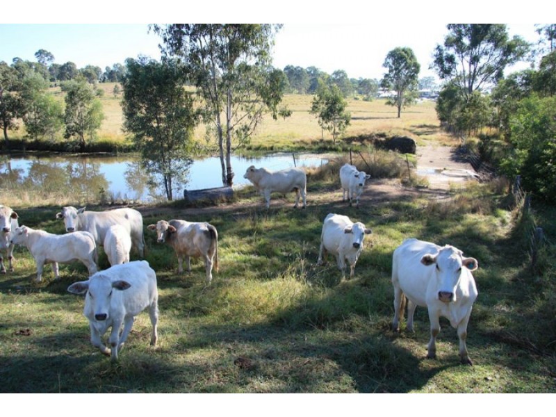 Southside QLD 4570
