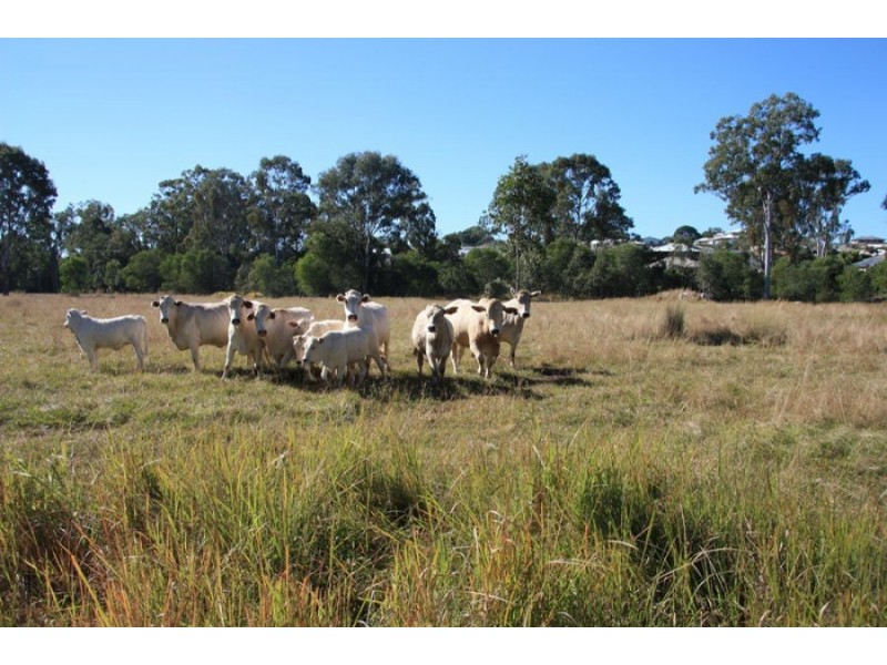 Southside QLD 4570