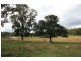 Glenwood QLD 4570