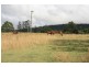 Glenwood QLD 4570