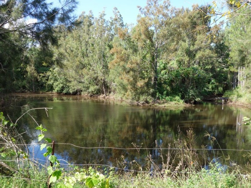 16 Conway Court, Glastonbury QLD 4570