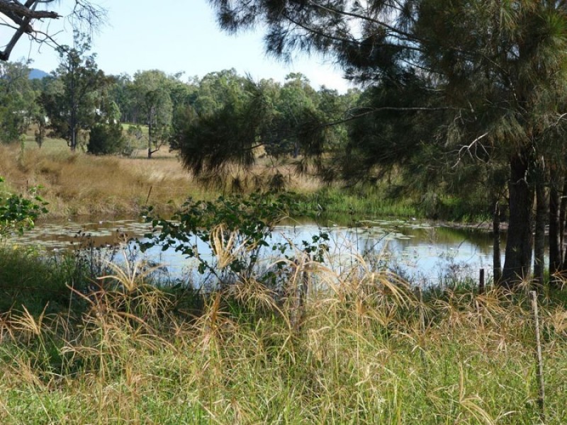 16 Conway Court, Glastonbury QLD 4570